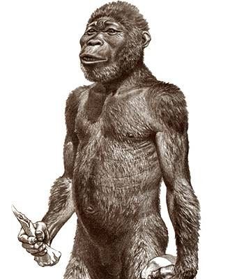 05.australopithecus-africanus.jpg