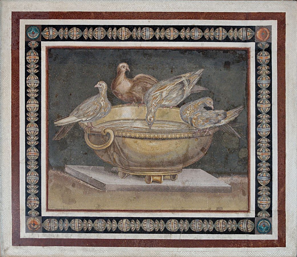 101. vaso colombe.jpg
