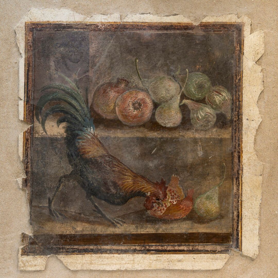 11. gallo e melagrana.jpg