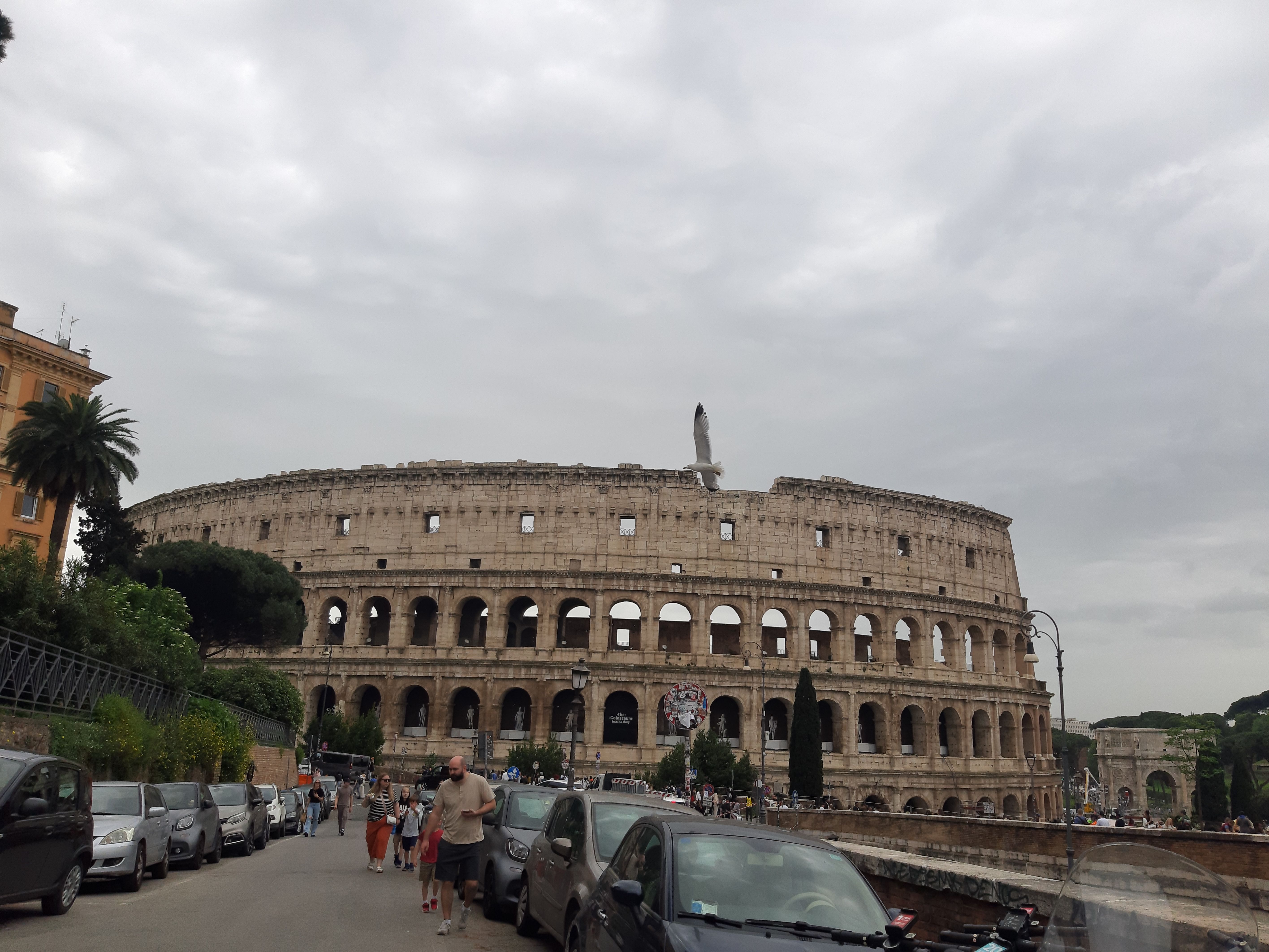 20250416_113056.jpg