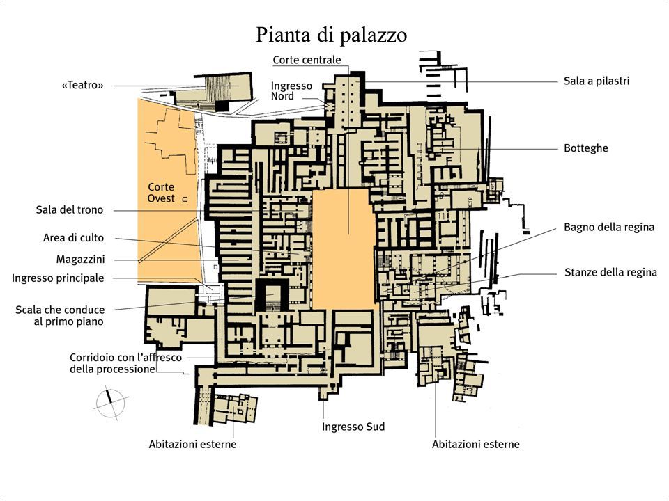 23. piantadipalazzo.jpg